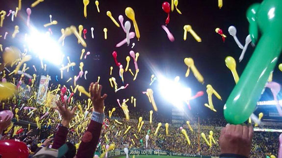 写真：甲子園球場の試合観戦